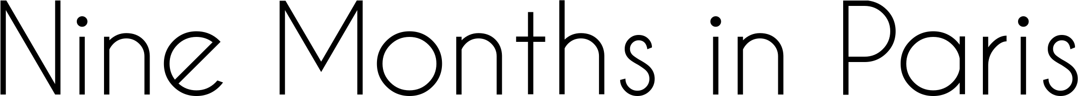 Nine months in Paris — header image